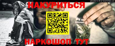 мдпв Бийск