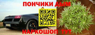 мдпв Бийск