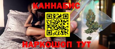 мдпв Бийск